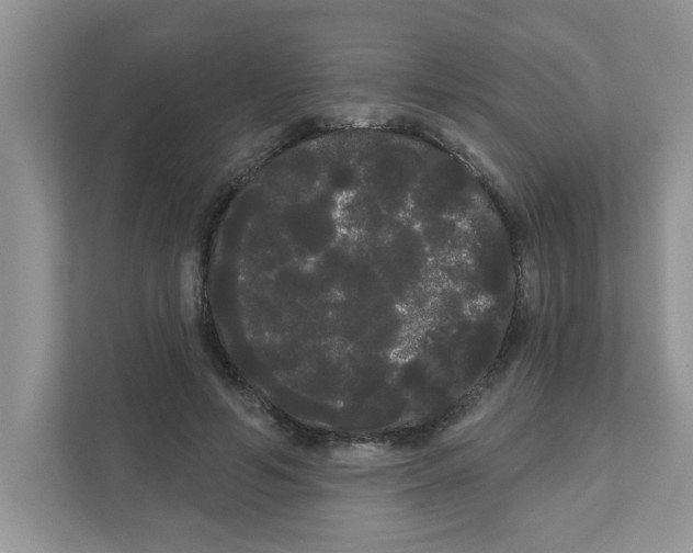 X0000111050594200907231557