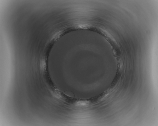 X0000111050595200907231557