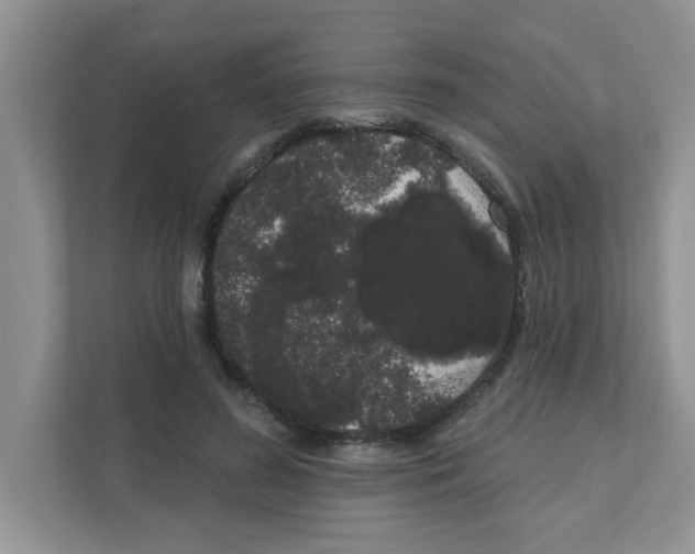 X0000111050596200907231557