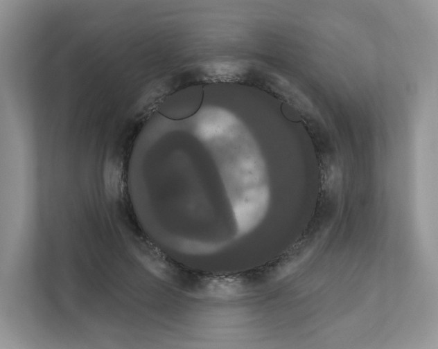 X0000111050599200907231557