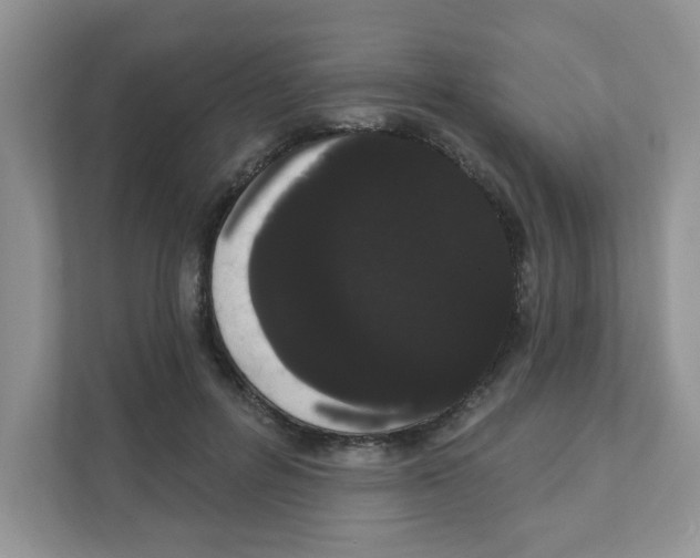 X0000111050600200907231557