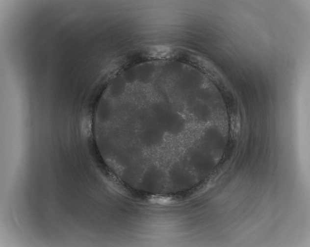 X0000111050602200907231557