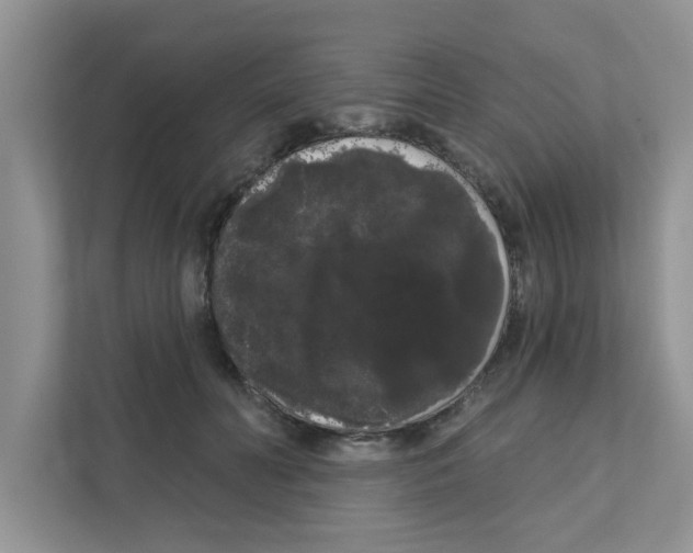 X0000111050606200907231557