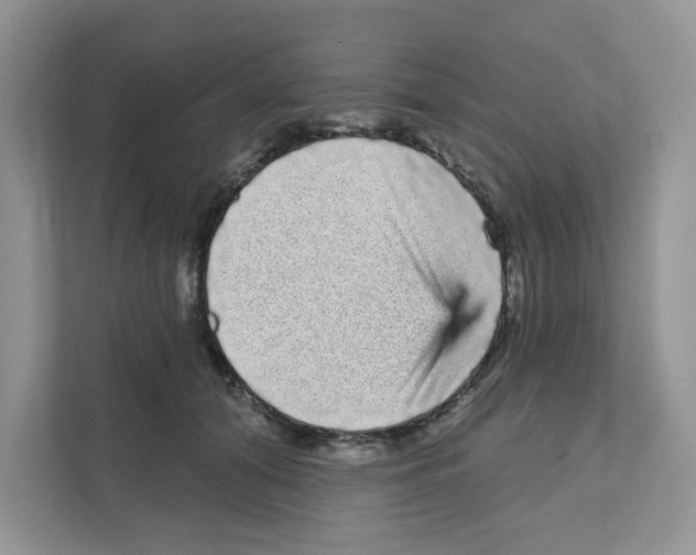 X0000111050608200907231557