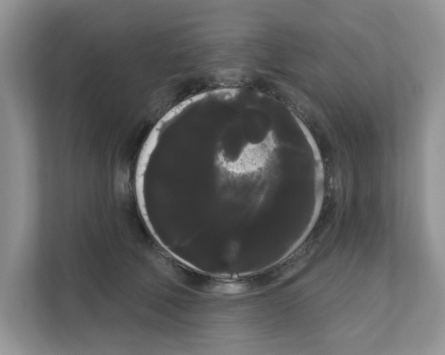 X0000111050610200907231557