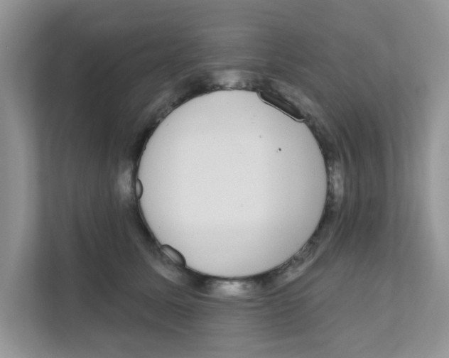 X0000111050611200907231557