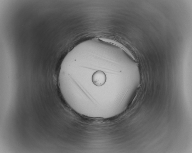 X0000111050613200907231557