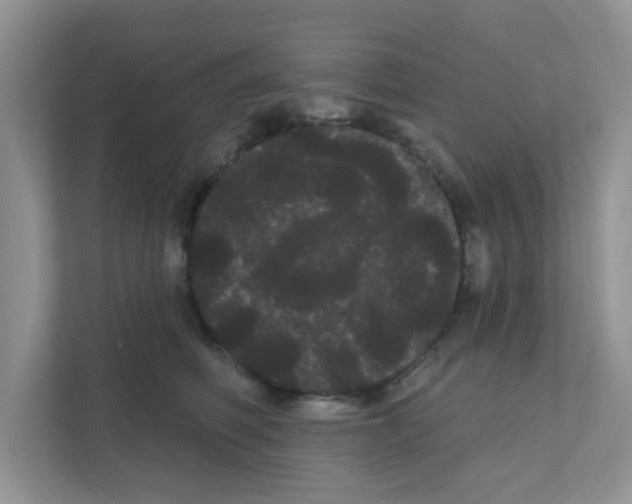 X0000111050614200907231557