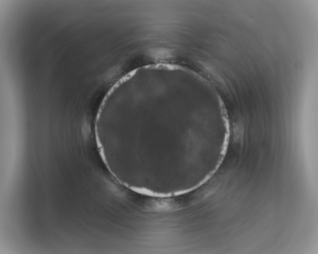 X0000111050618200907231557