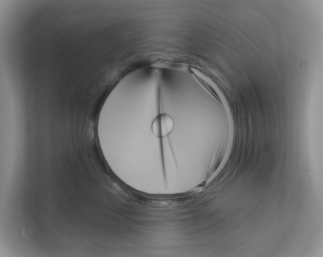 X0000111050621200907231557