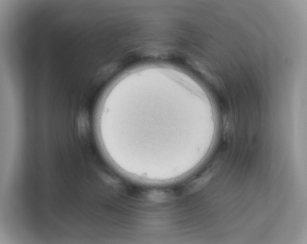 X0000111050623200907231557