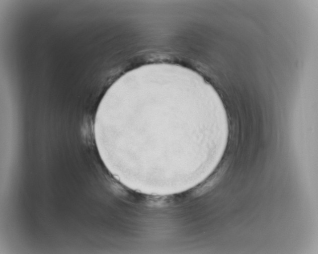 X0000111050624200907231557