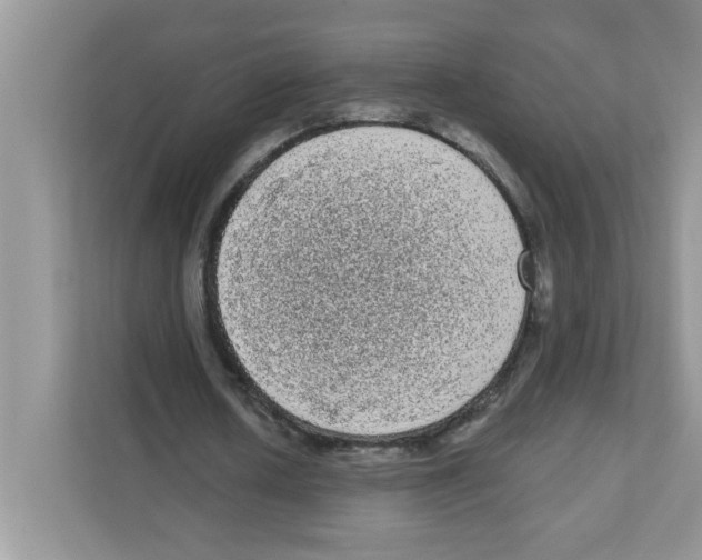 X0000111050626200907231556