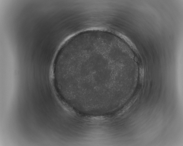 X0000111050628200907231556