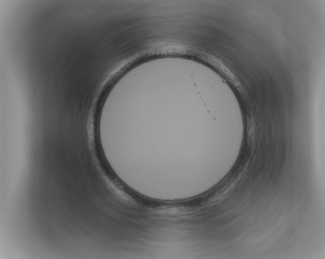 X0000111050629200907231556