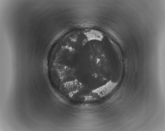 X0000111050634200907231556