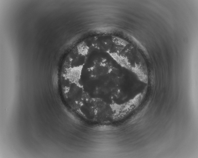 X0000111050637200907231556