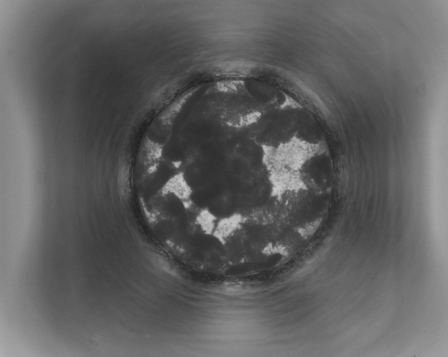 X0000111050641200907231557