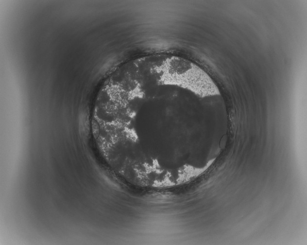 X0000111050642200907231557