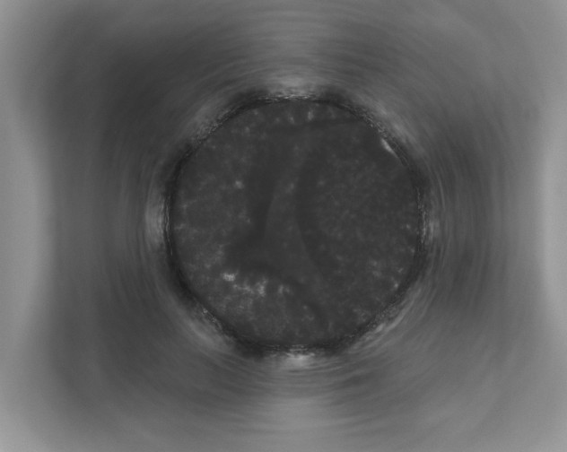 X0000111050647200907231557