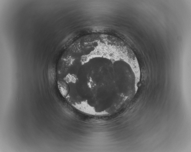 X0000111050648200907231557