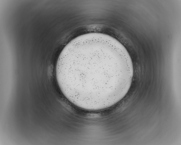 X0000111050649200907231557