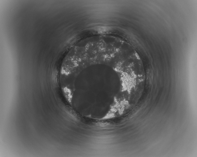 X0000111050650200907231557