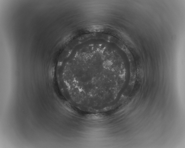 X0000111050652200907231557