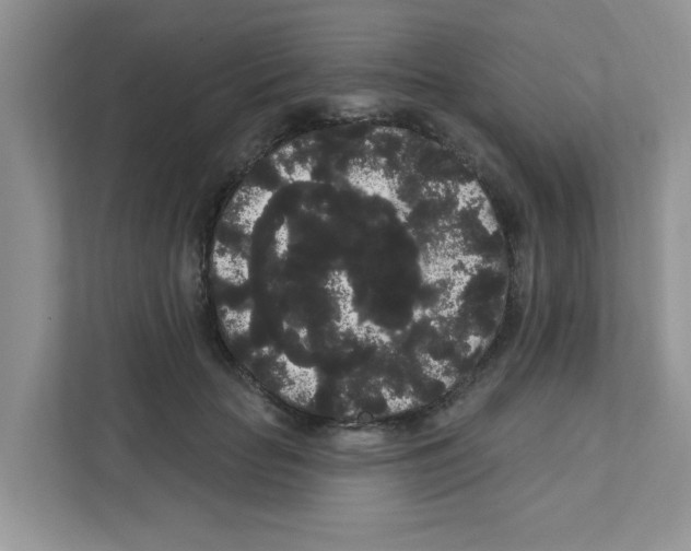 X0000111050653200907231557