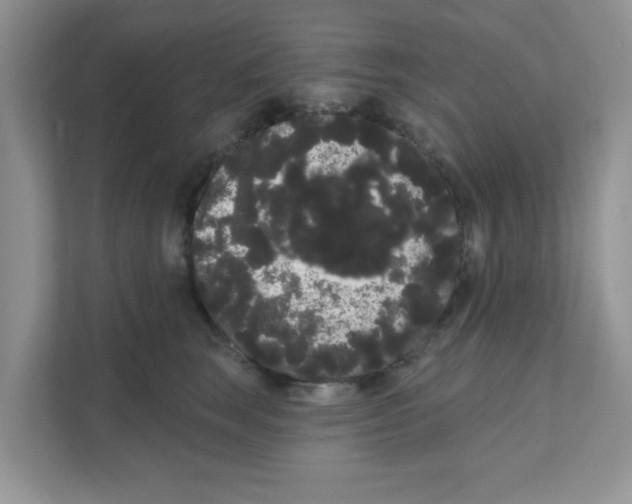 X0000111050663200907231557