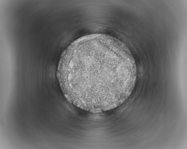 X0000111050664200907231557