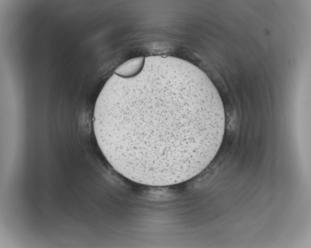 X0000111050666200907231557