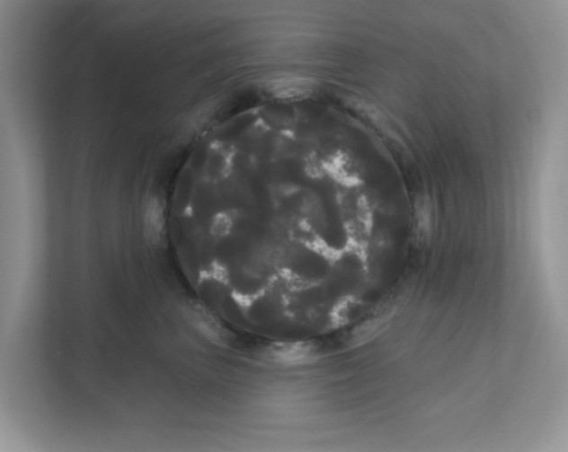 X0000111050667200907231557