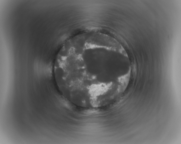 X0000111050668200907231557