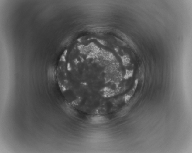 X0000111050669200907231557