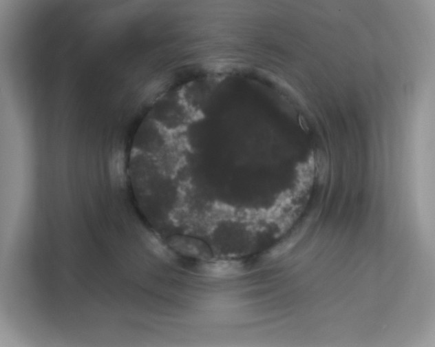 X0000111050670200907231557