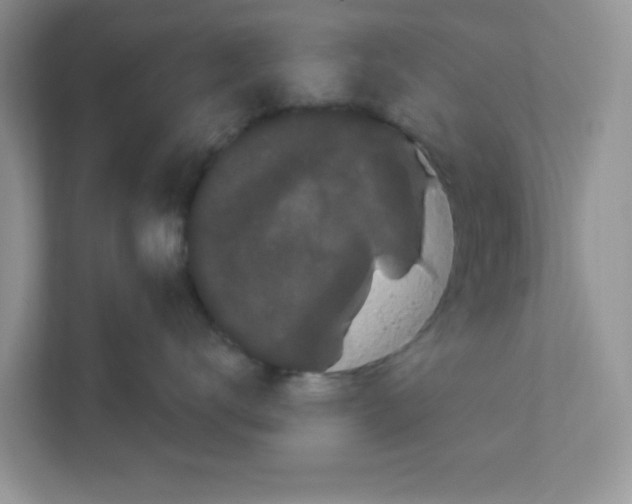 X0000111050672200907231557