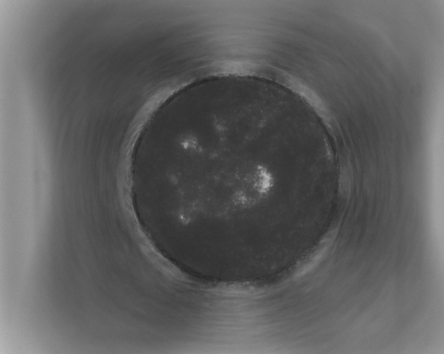 X0000111050673200907231556