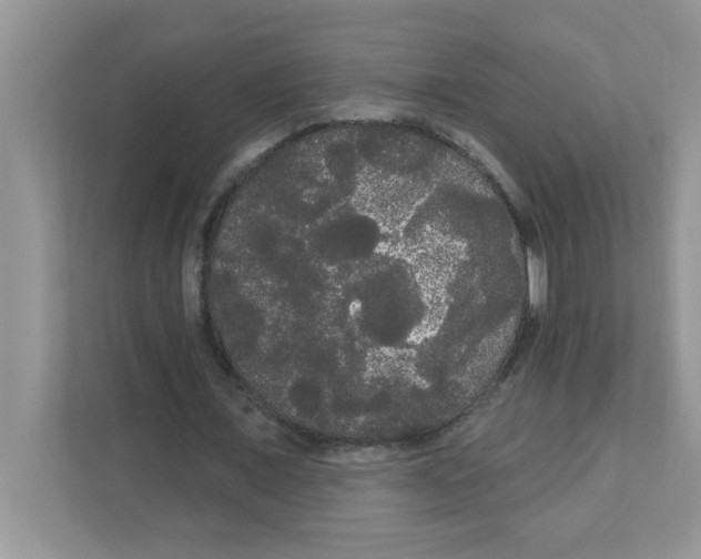 X0000111050675200907231556