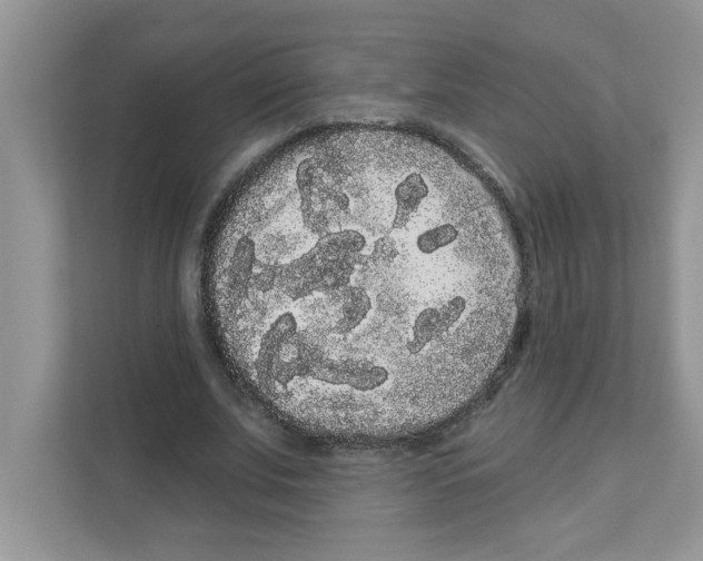 X0000111050679200907231556