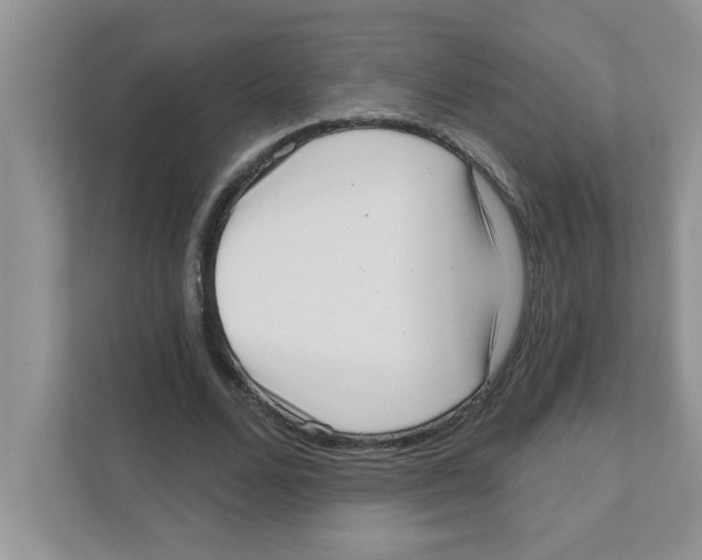 X0000111050680200907231556