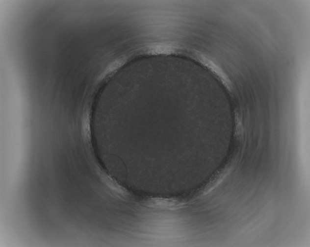 X0000111050681200907231556