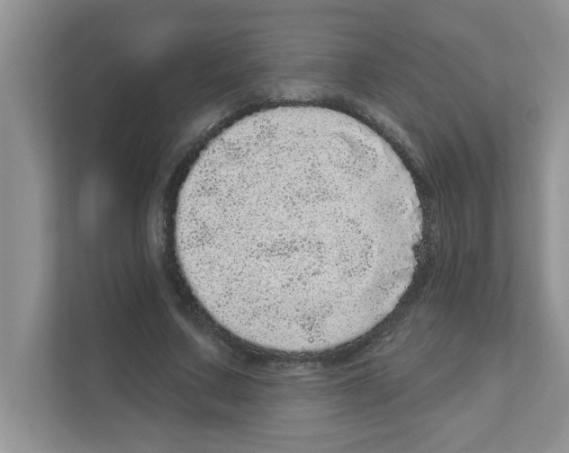 X0000111050683200907231556