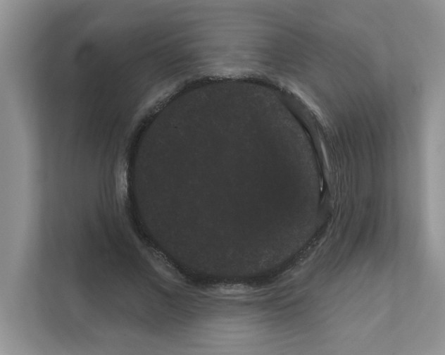 X0000111050685200907231556