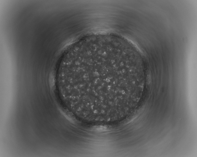 X0000111050687200907231556