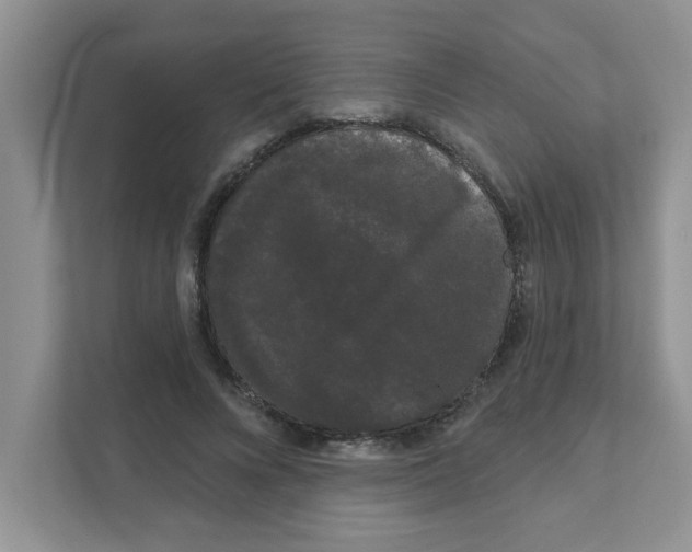 X0000111050688200907231556