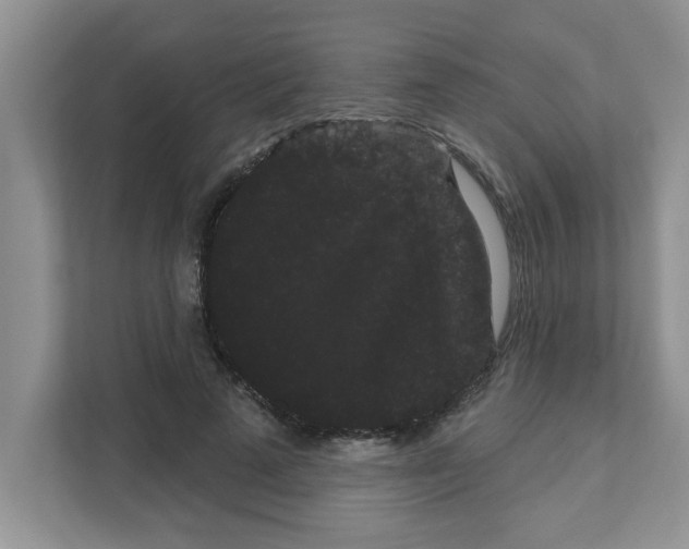 X0000111050689200907231556