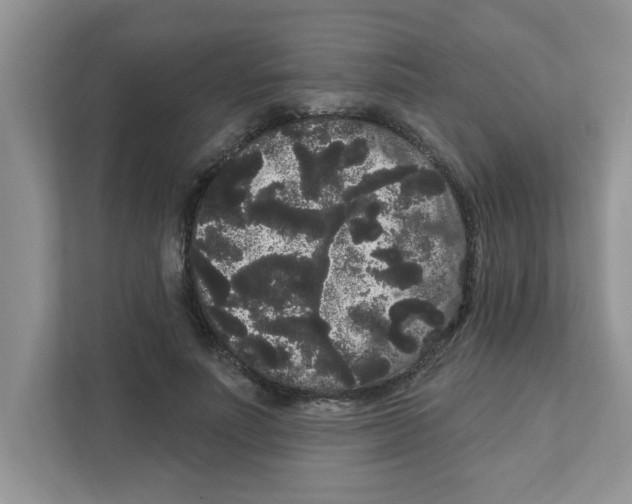 X0000111050691200907231556