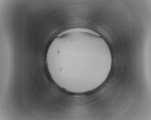 X0000111050693200907231556