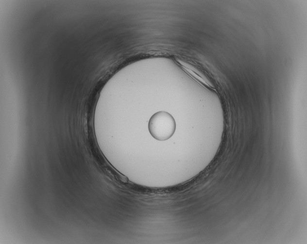 X0000111050696200907231556